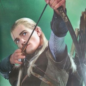 LORD OF THE RINGS “LEGOLAS” Return of the King DOOR Poster 62”x21” #D103 VTG